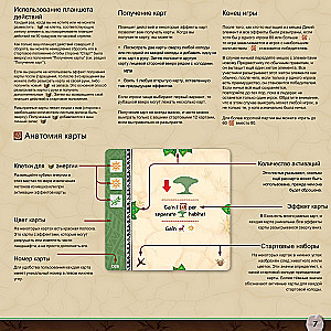 Board Game - Ecos. The First Continent